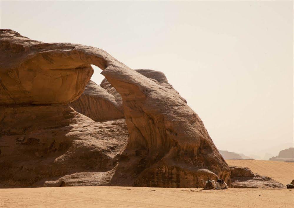 Wadi Rum Caravan Camp Extérieur photo